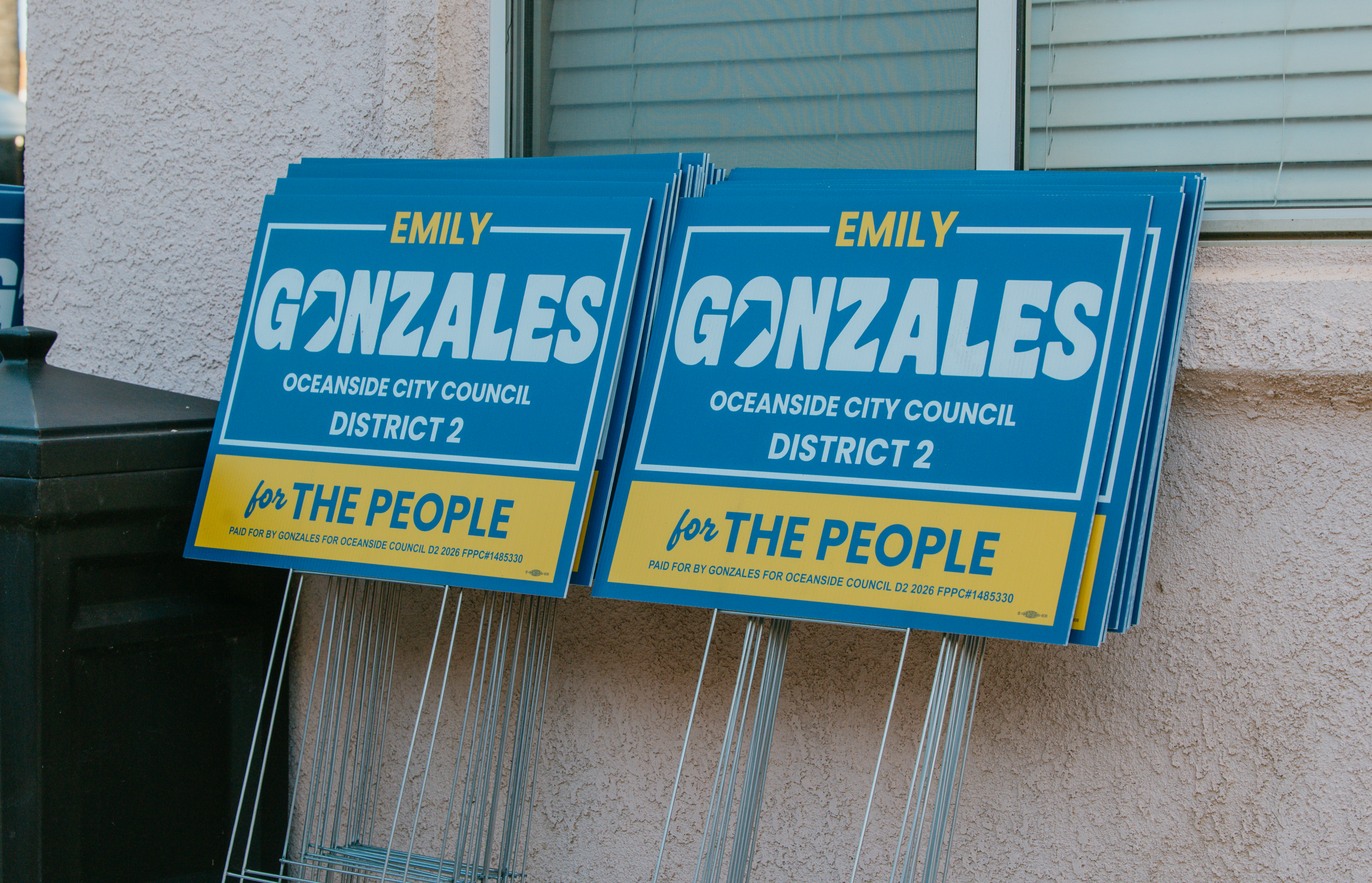 Emily Gonzales for City Council — visual identity and selected work