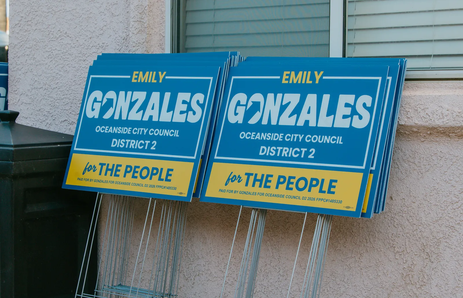 Emily Gonzales for City Council. Visual identity and selected work by Diego Luján Studio